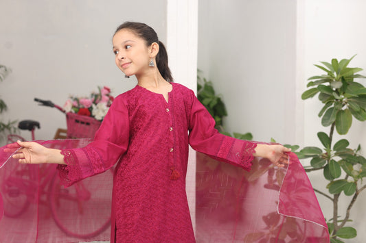 Young girl in a pink traditional outfit with a sheer dupatta, standing indoors with plants in the background.