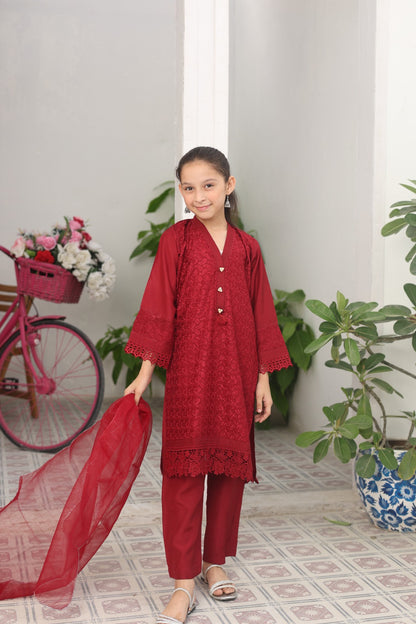 Ruby Embroidered Viscose Shirt with Lacework | Viscose Trouser | Zari Organza Dupatta