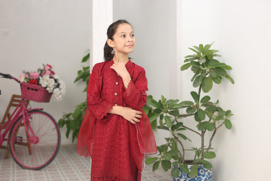 Ruby Embroidered Viscose Shirt with Lacework | Viscose Trouser | Zari Organza Dupatta